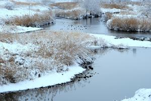 Τ�ν���դ뤵�Ȼ���